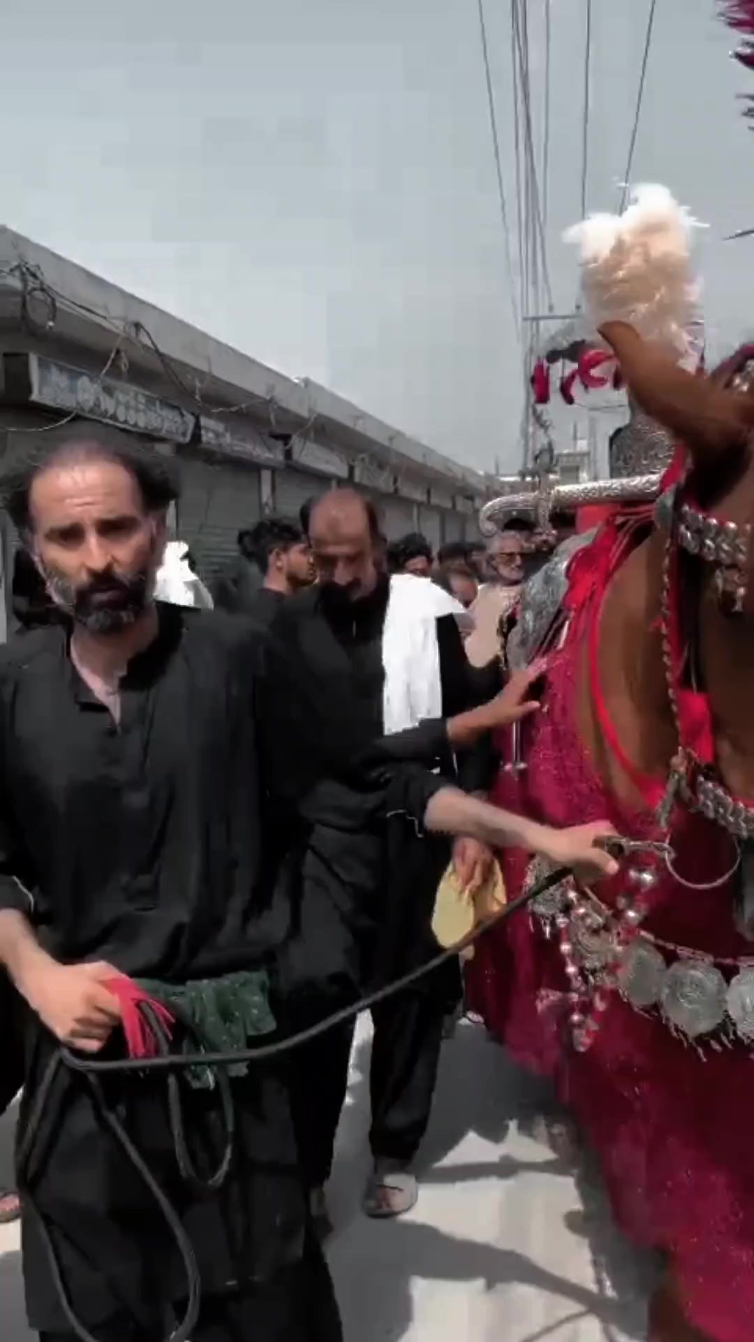 @مرکزی ذوالجناح تلہ گنگ