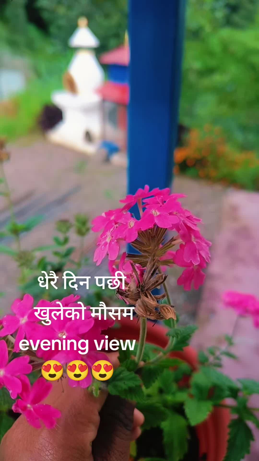 @Grganita97