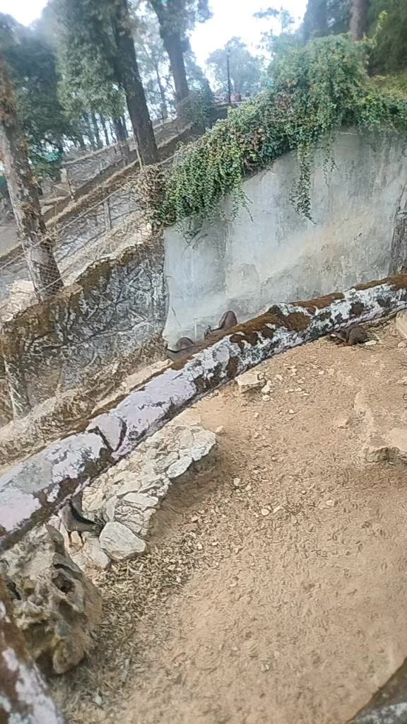 @maya❤️