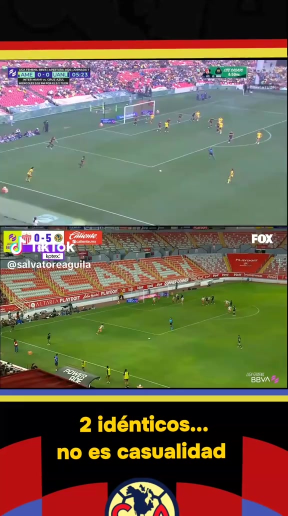 @Manuel Tovar  🇲🇽
