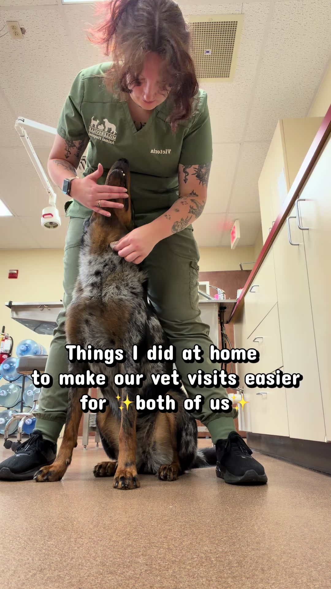 @valkyrie.the.beauceron