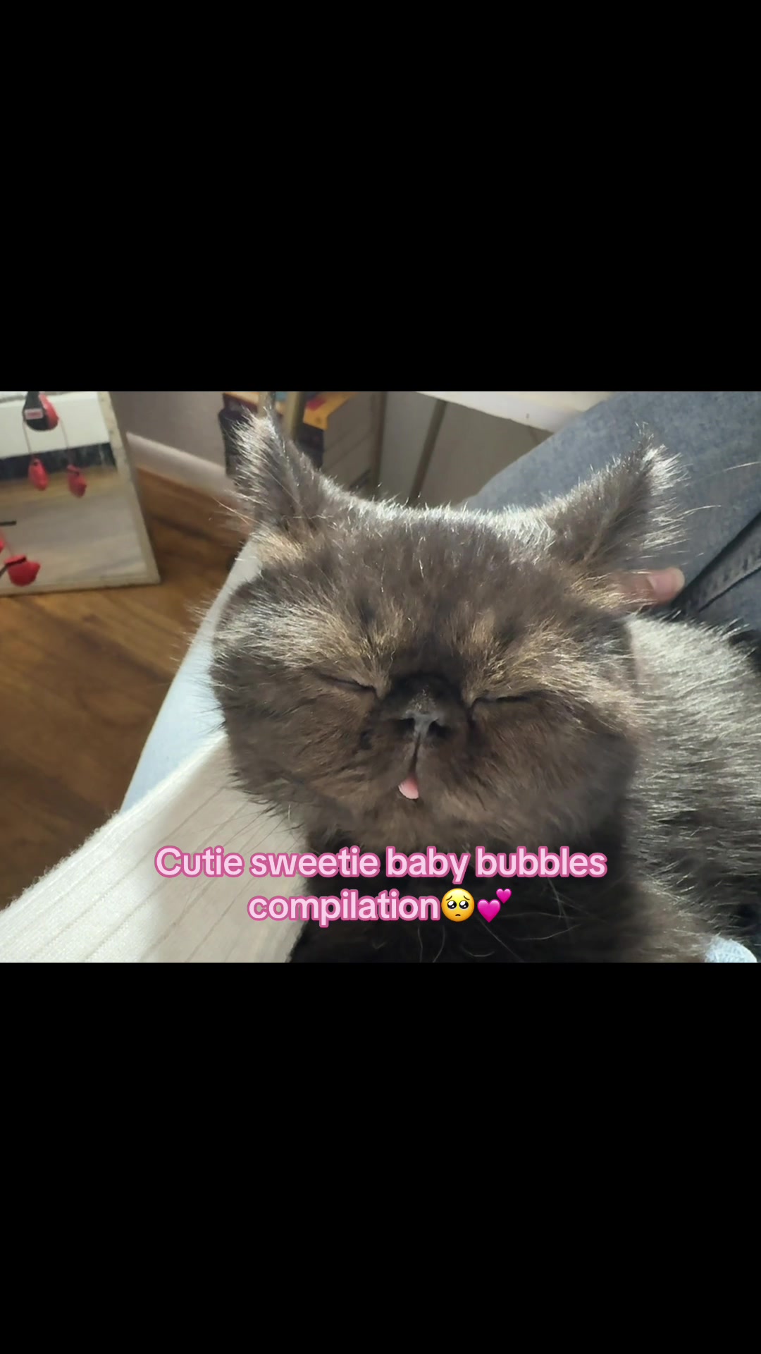 @Bubbles