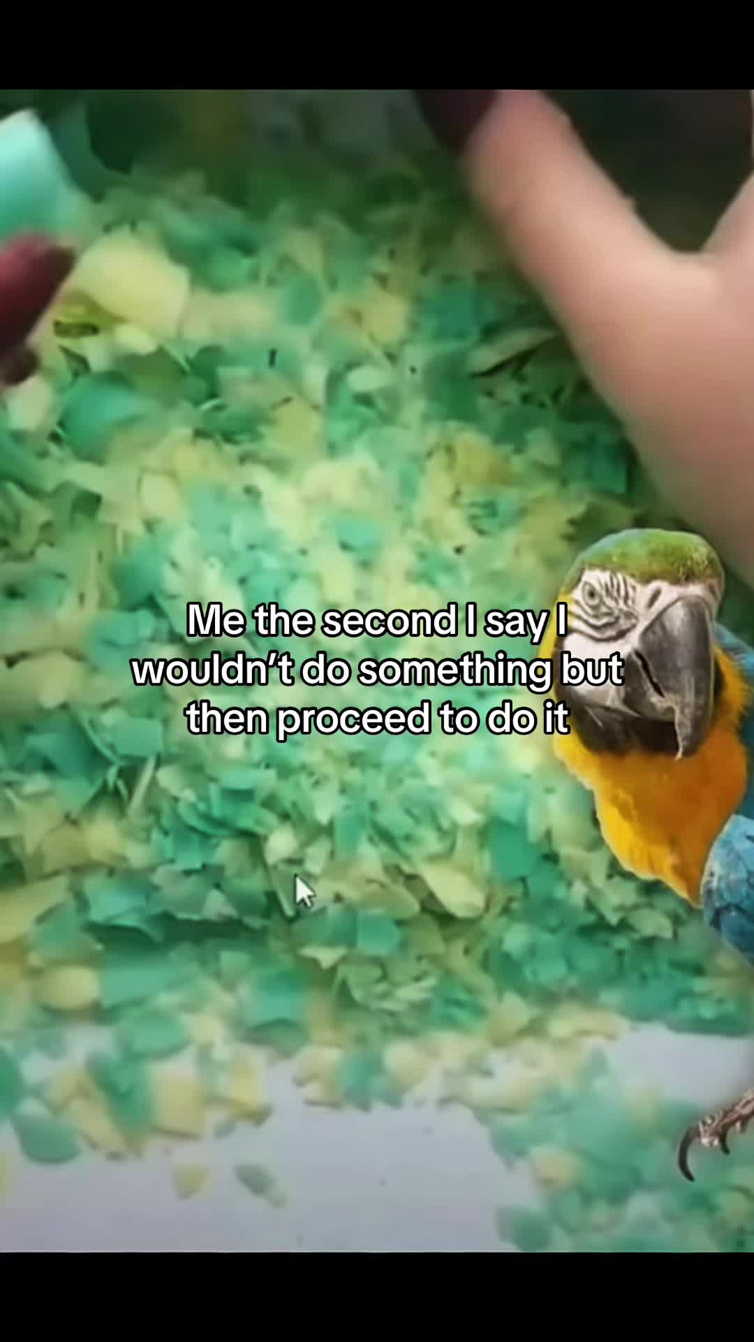 @๛я&sigma;ттє&eta; &fnof;ℓєѕн ๛
