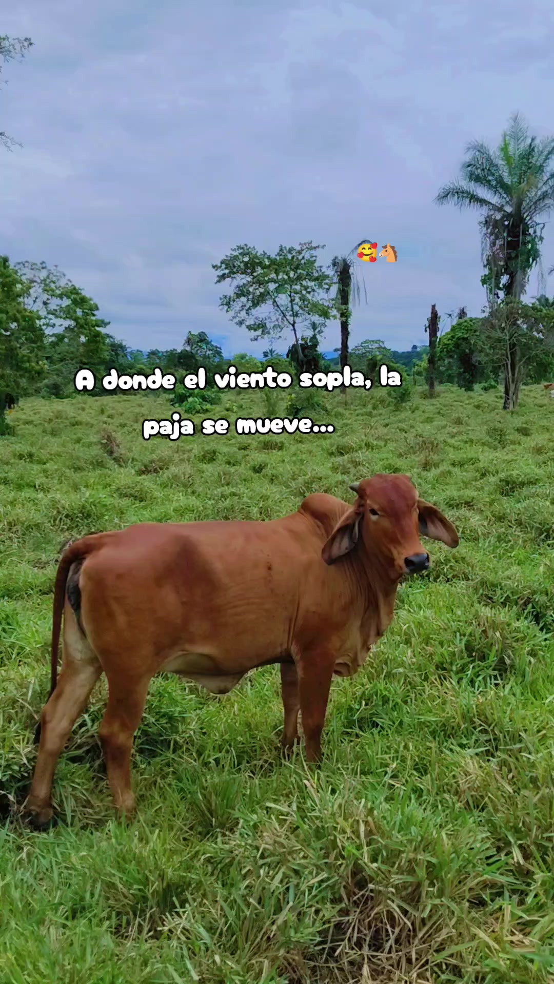 @Danny fajardo 💫