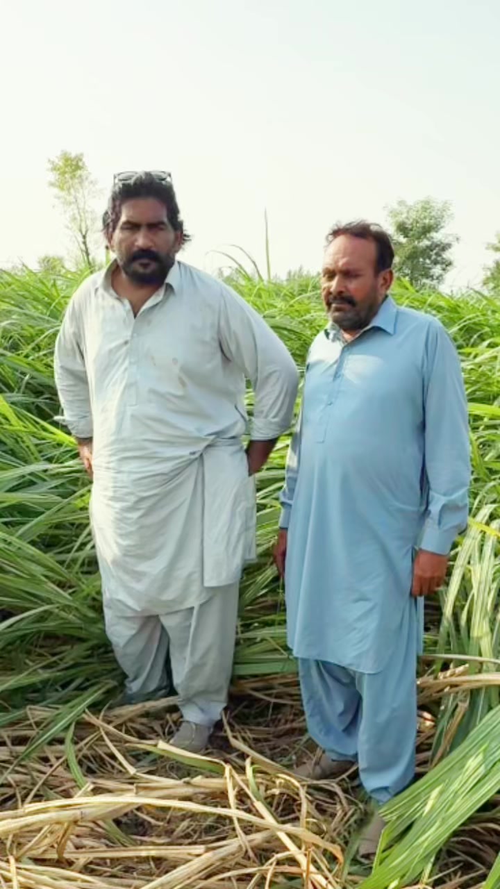 @Ali Jutt Chiniot Alla💫🦅