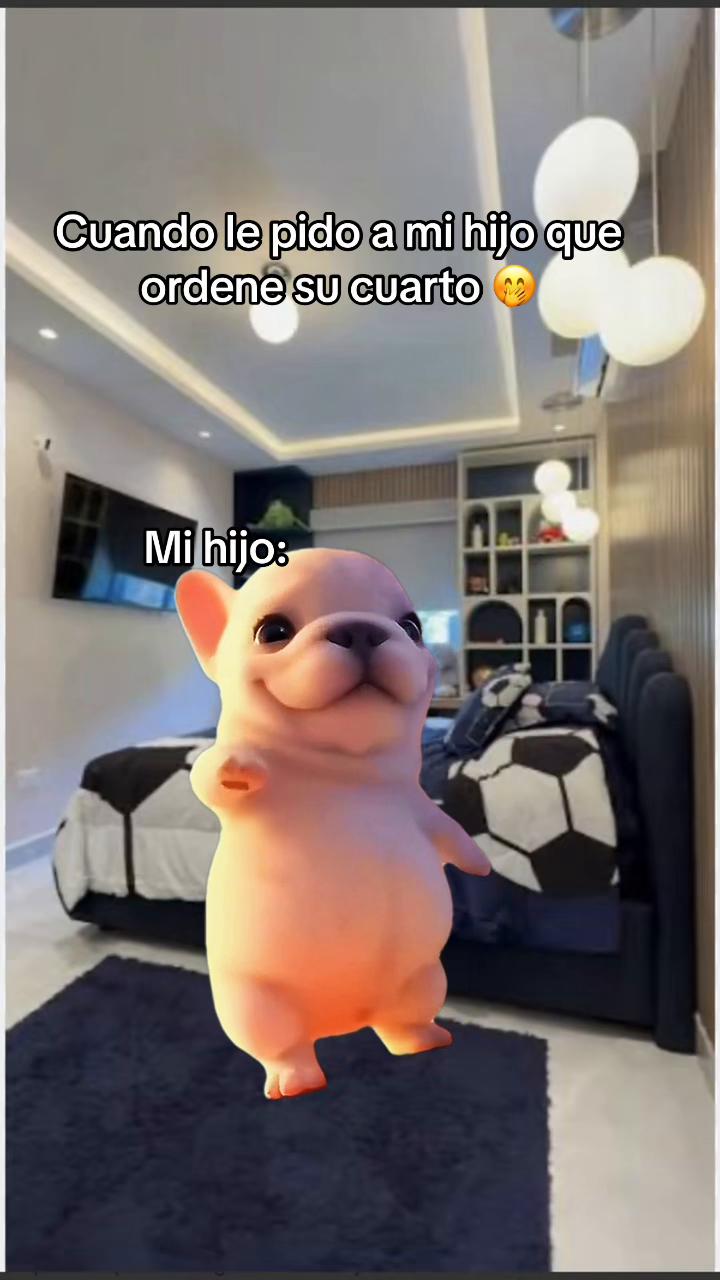 @Lizz and Luna🐶