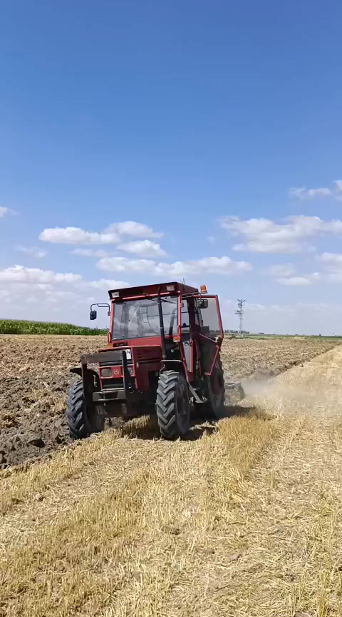 @efeekmekci