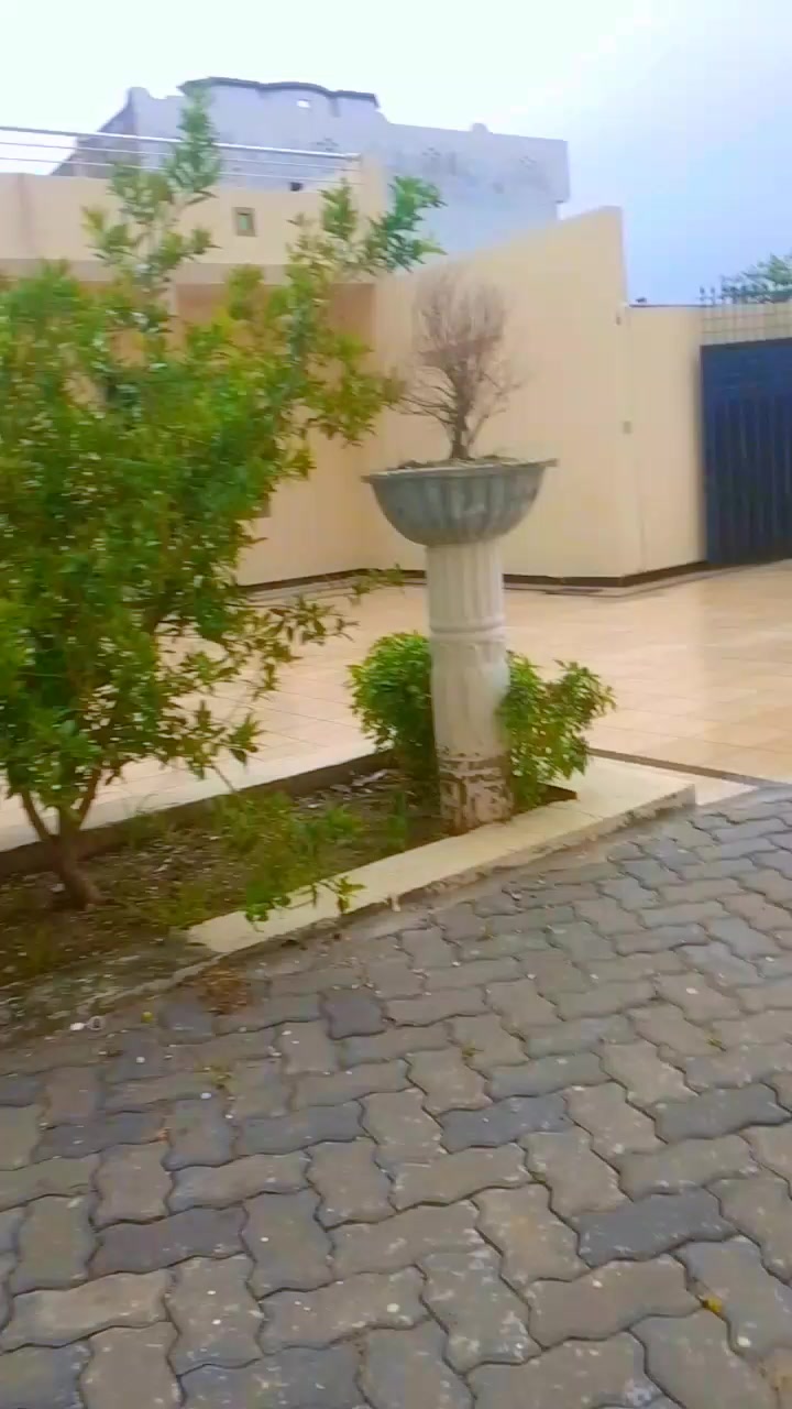 @Sadam Adalat