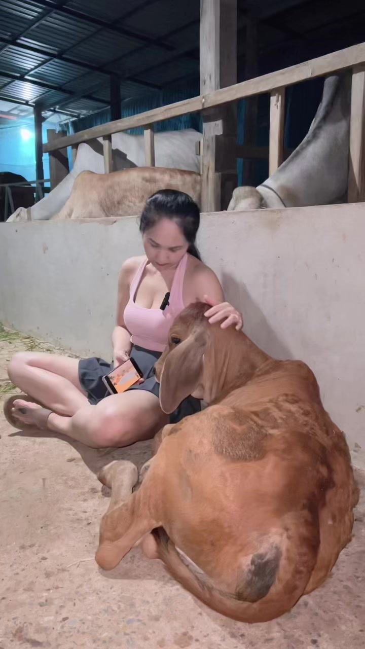 @AA Aranya Farm