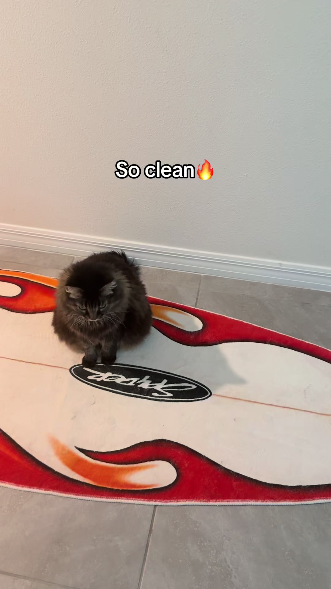 @stupidsupply