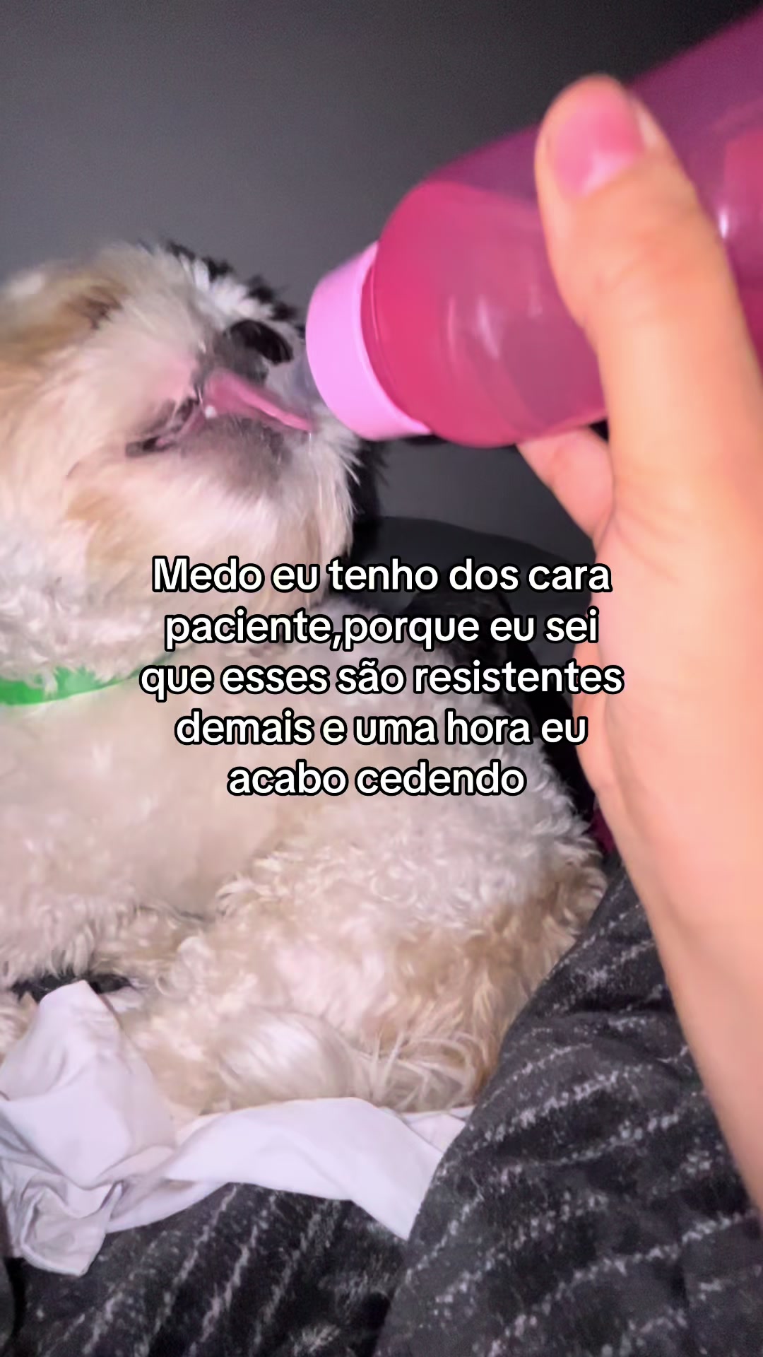 @Twitterpessoal🤹