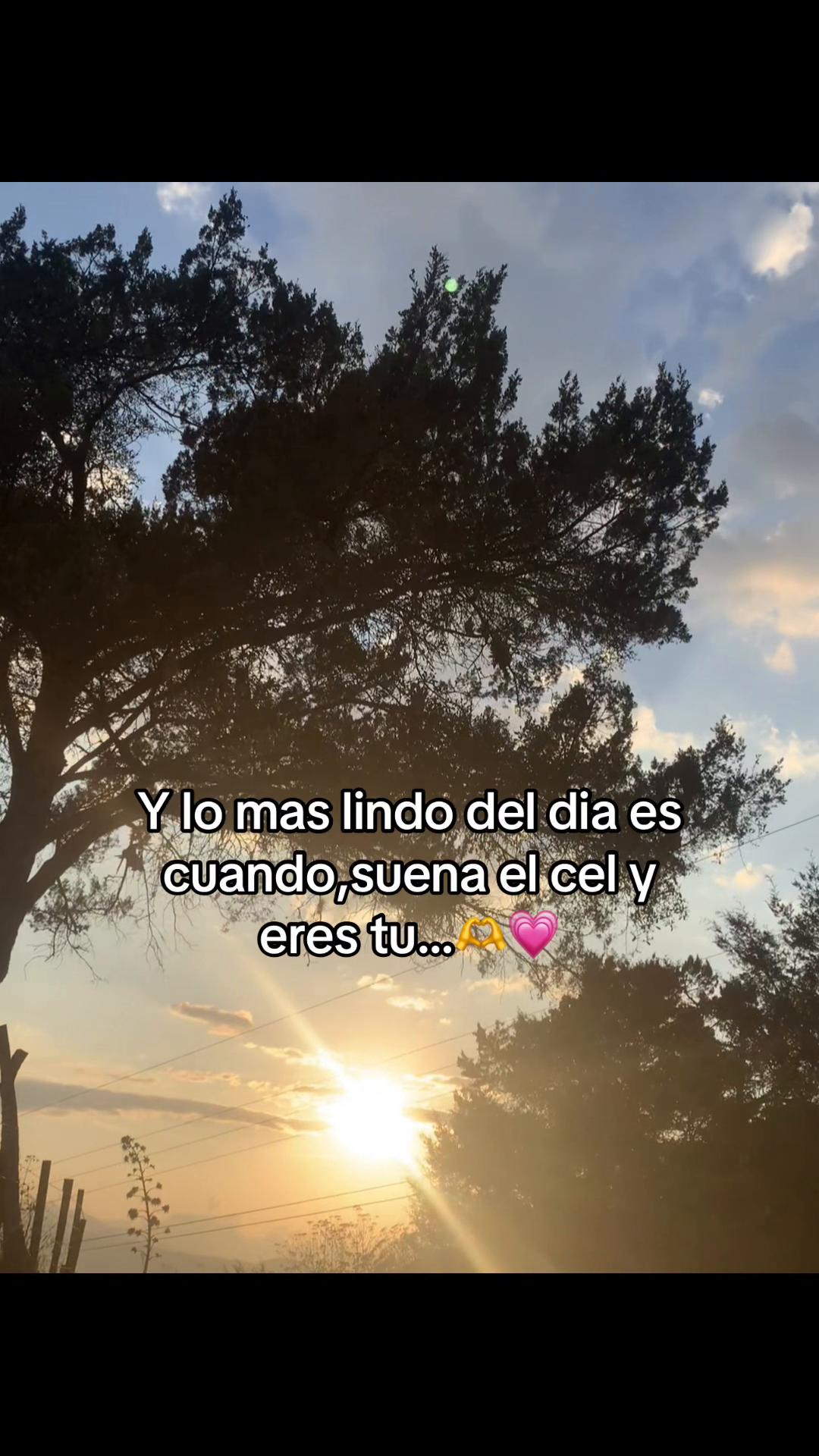 @🌓🐢Gaby🌓🐢