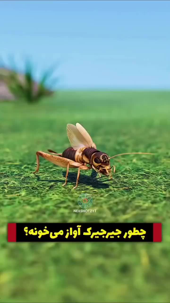 @Murtazakhan
