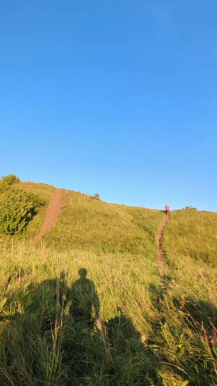 @Tigrra_Kishkin