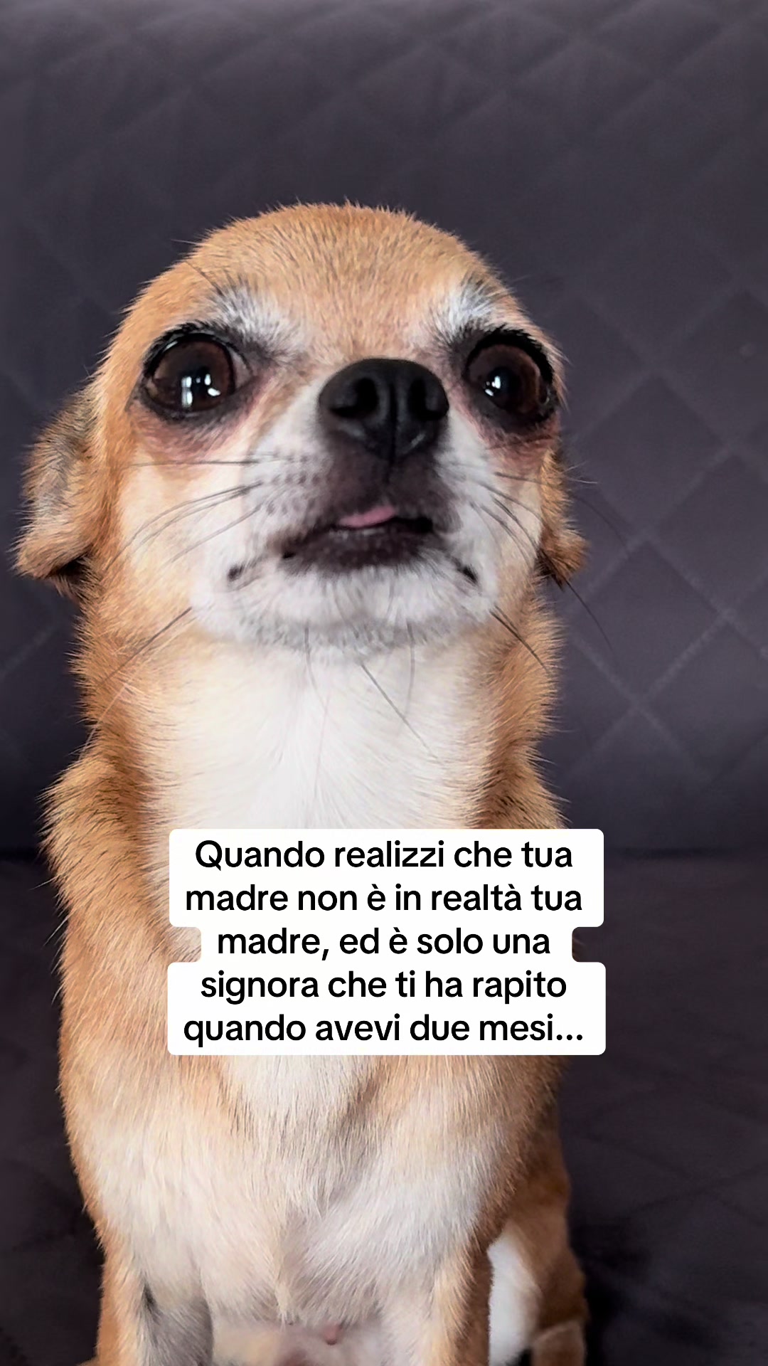 @vitaconZoe
