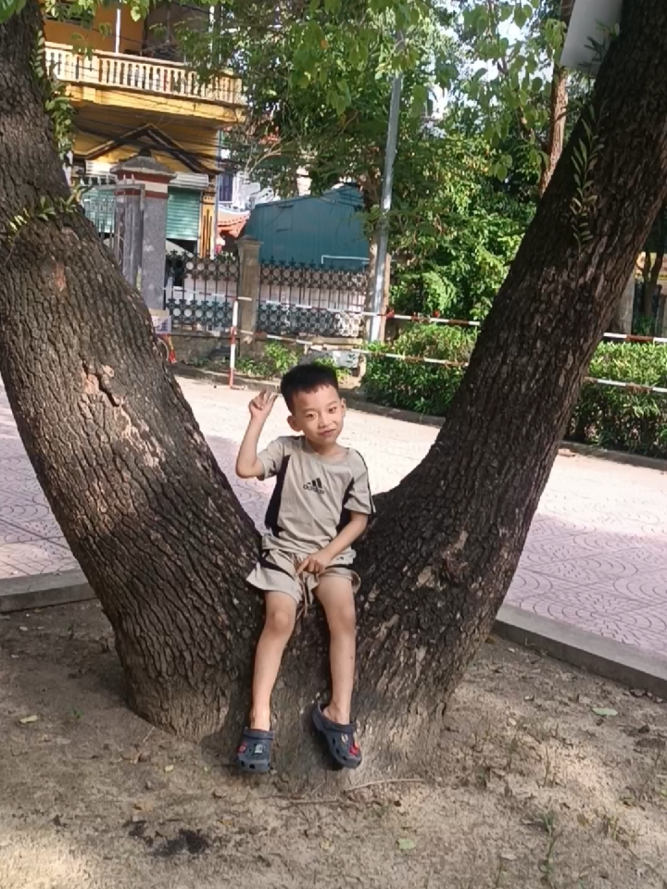 @Tổng Sỉ Hu&acirc;n Hường Thổ Tang