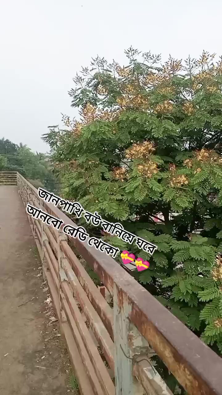 @S..-A. পাগল.. /ছেলে ..?😅