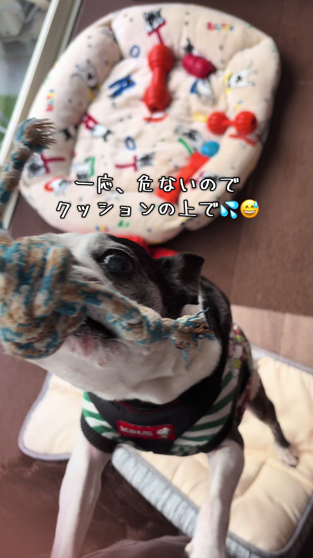 @Bunta