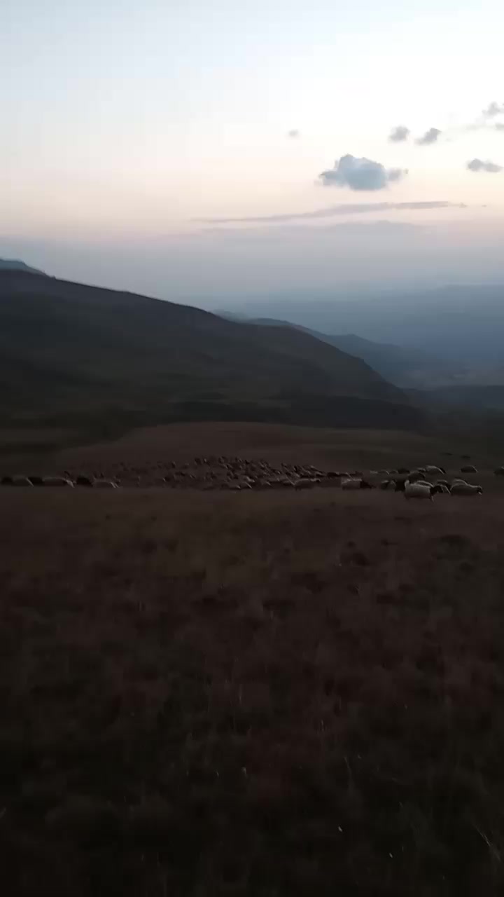 @Zahid cehrili