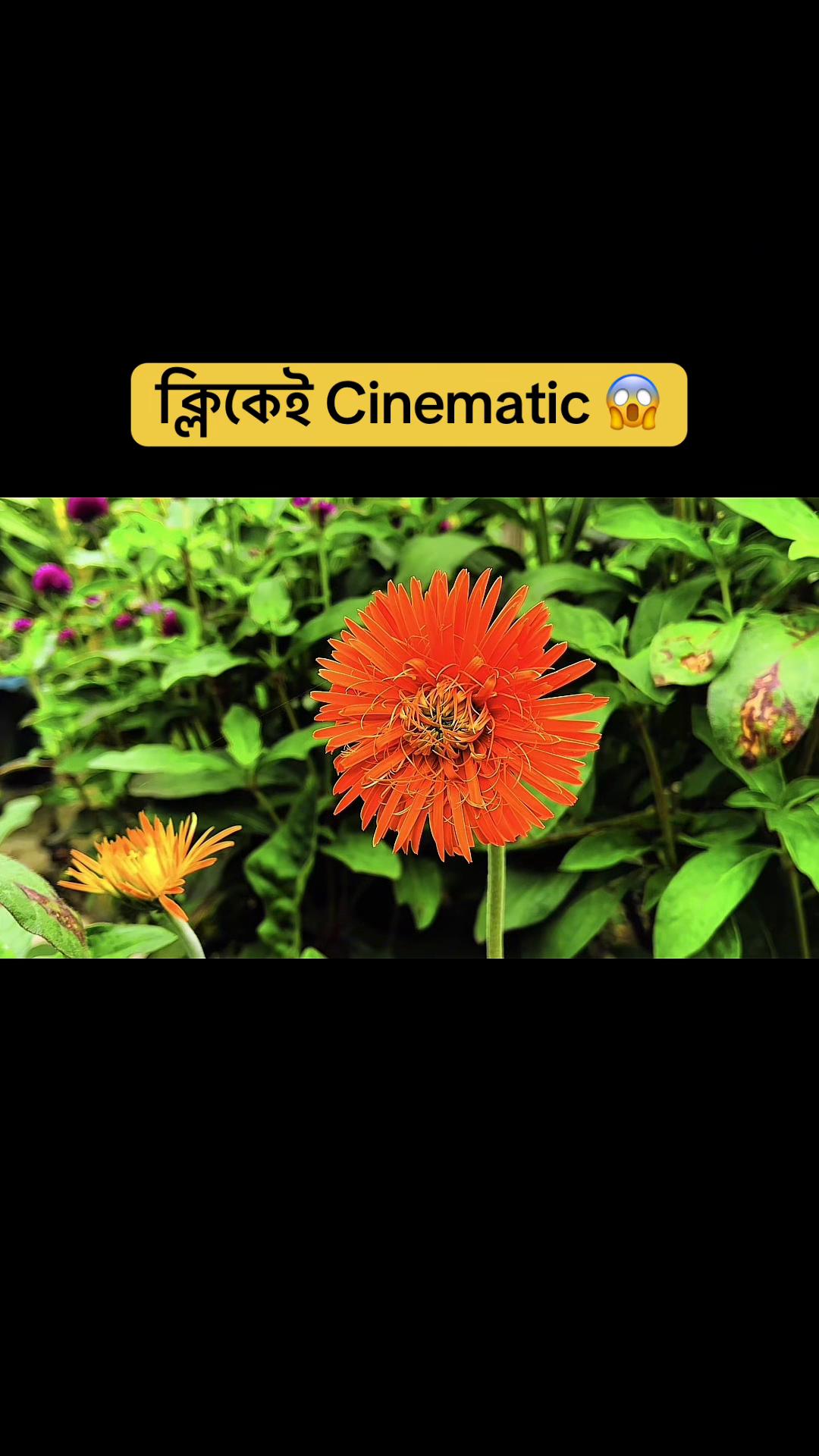 @It'z Toufiqur