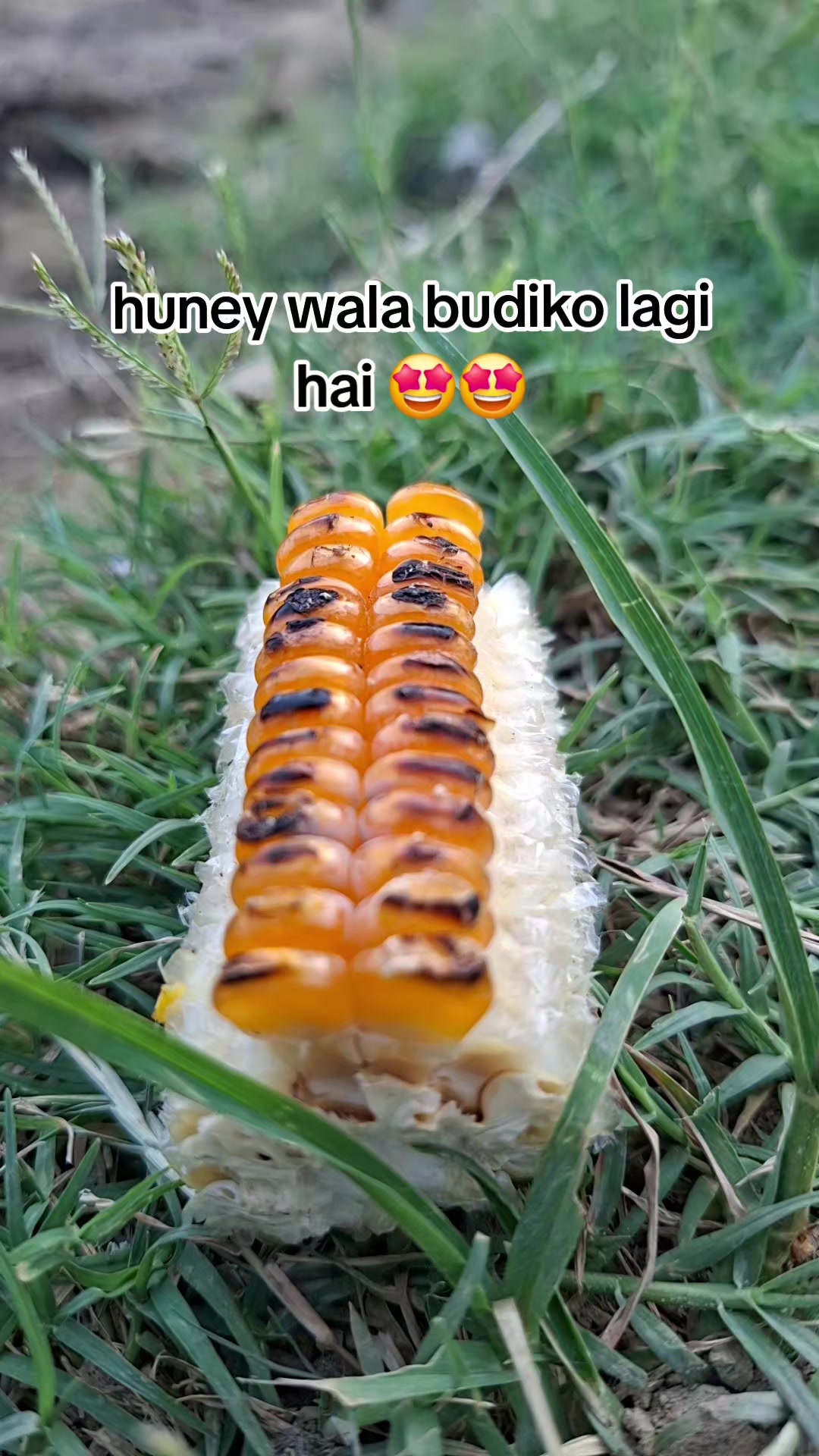 @Rahul✨🥀