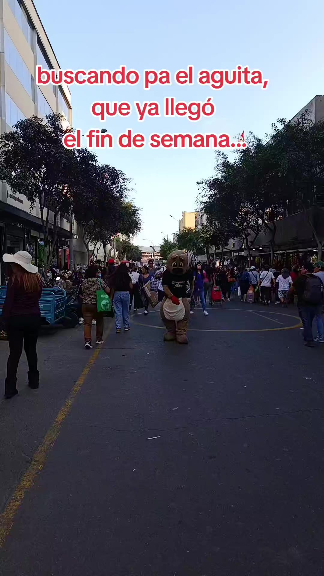 @CANGURO MAX