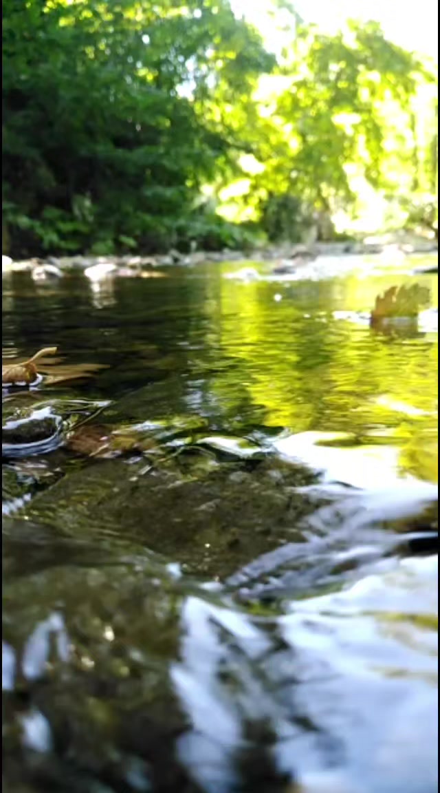 @67sevdam67