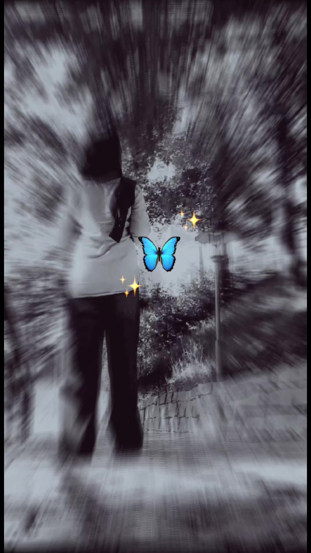 @★&bull;&deg;&bull;𝐒𝐞𝐭𝐚𝐫𝐞&bull;&deg;&bull;★