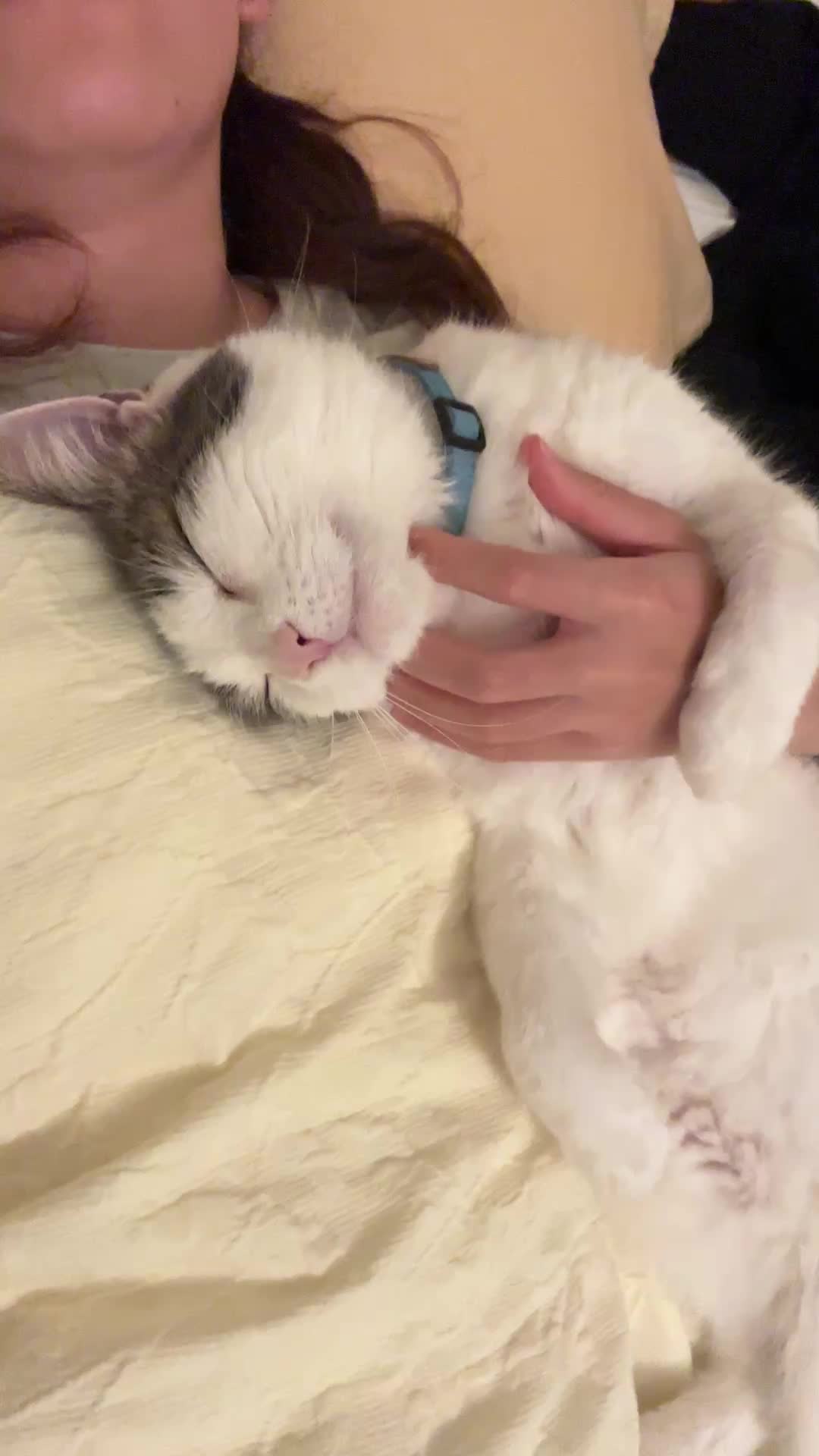 @Mimi Wawa Meow