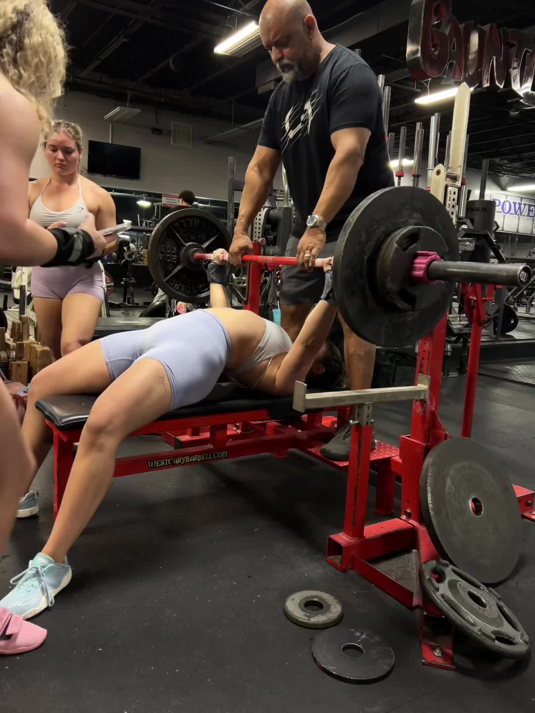 @Halle Lifts