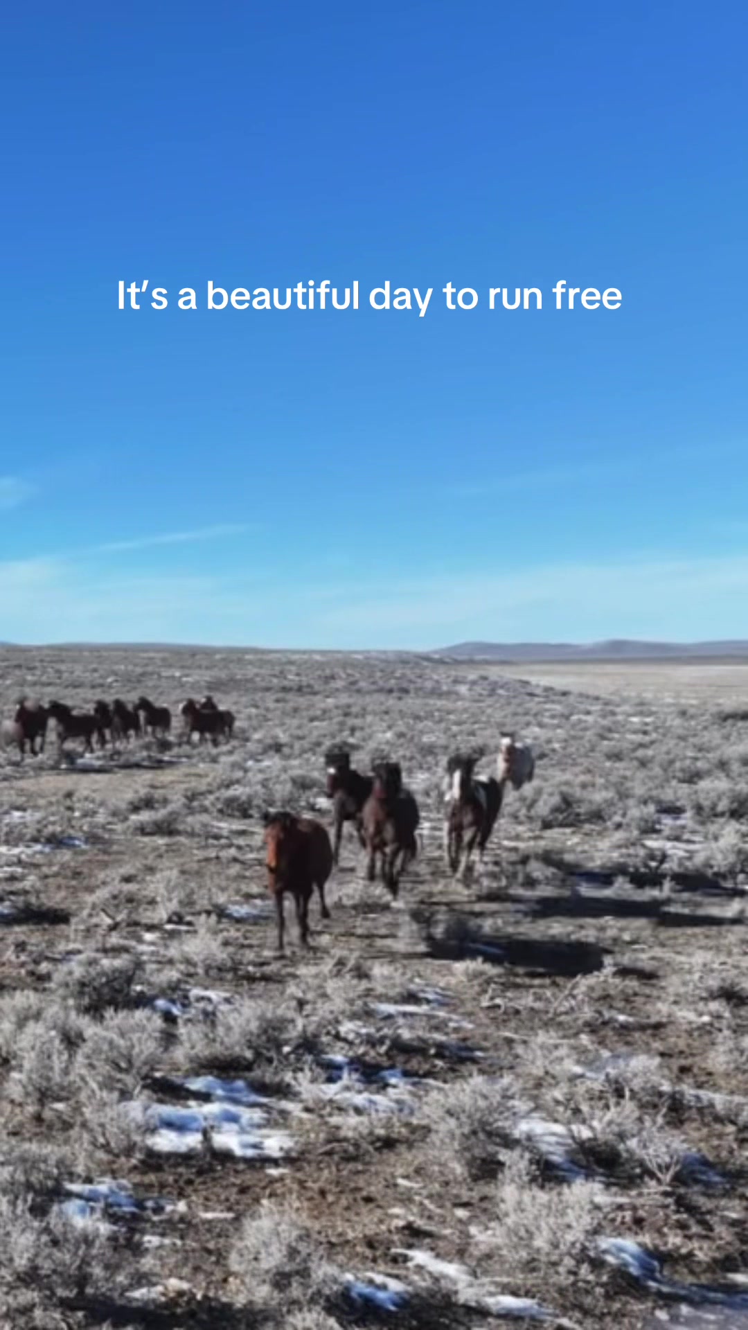 @RewildingAmericaNow