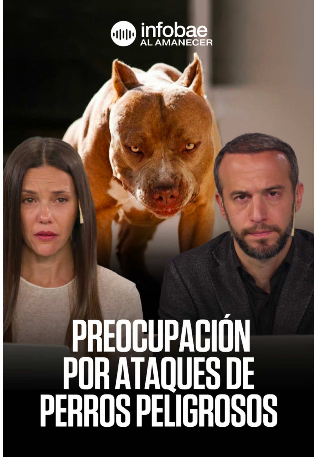 @infobae