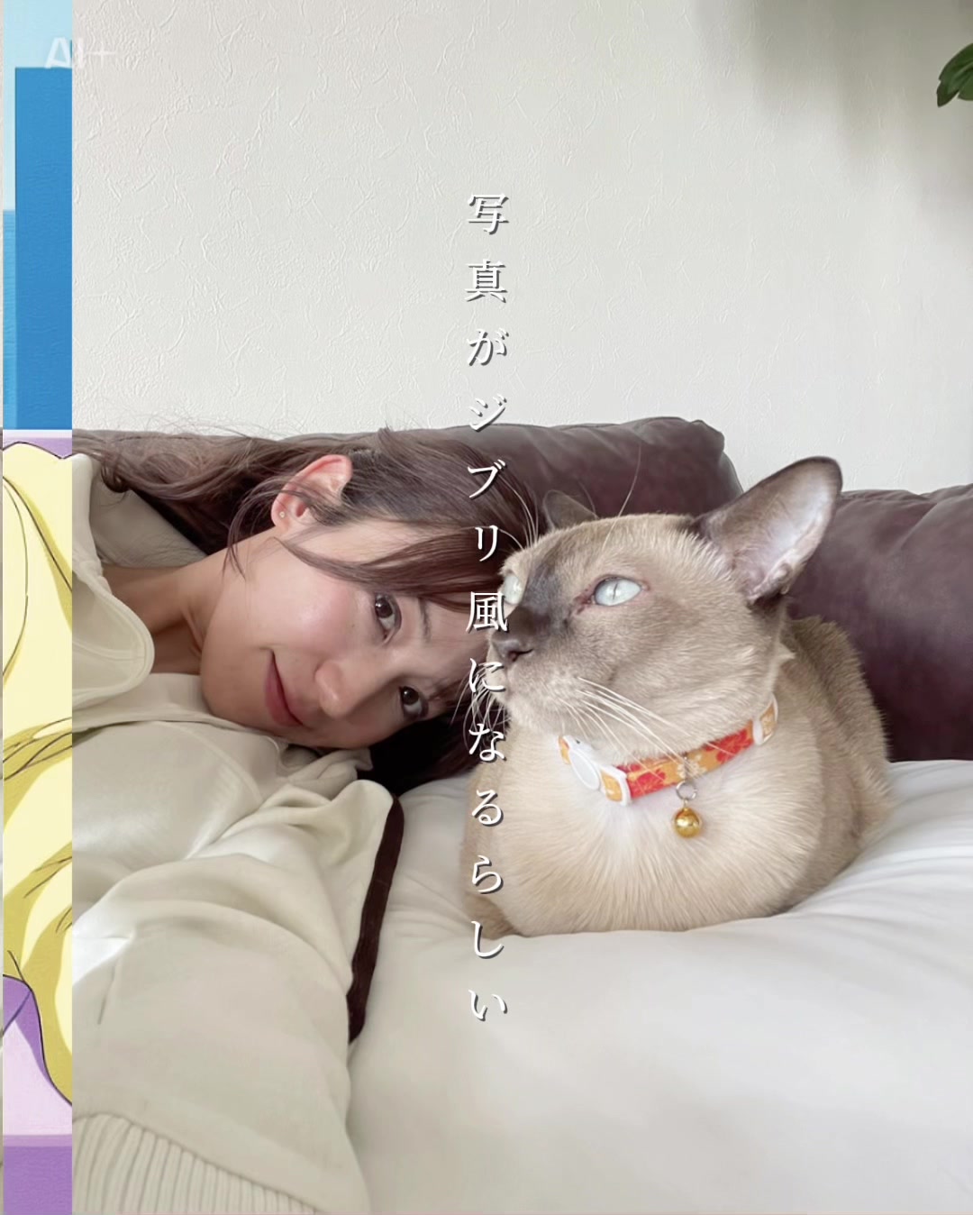 @佐藤あいり