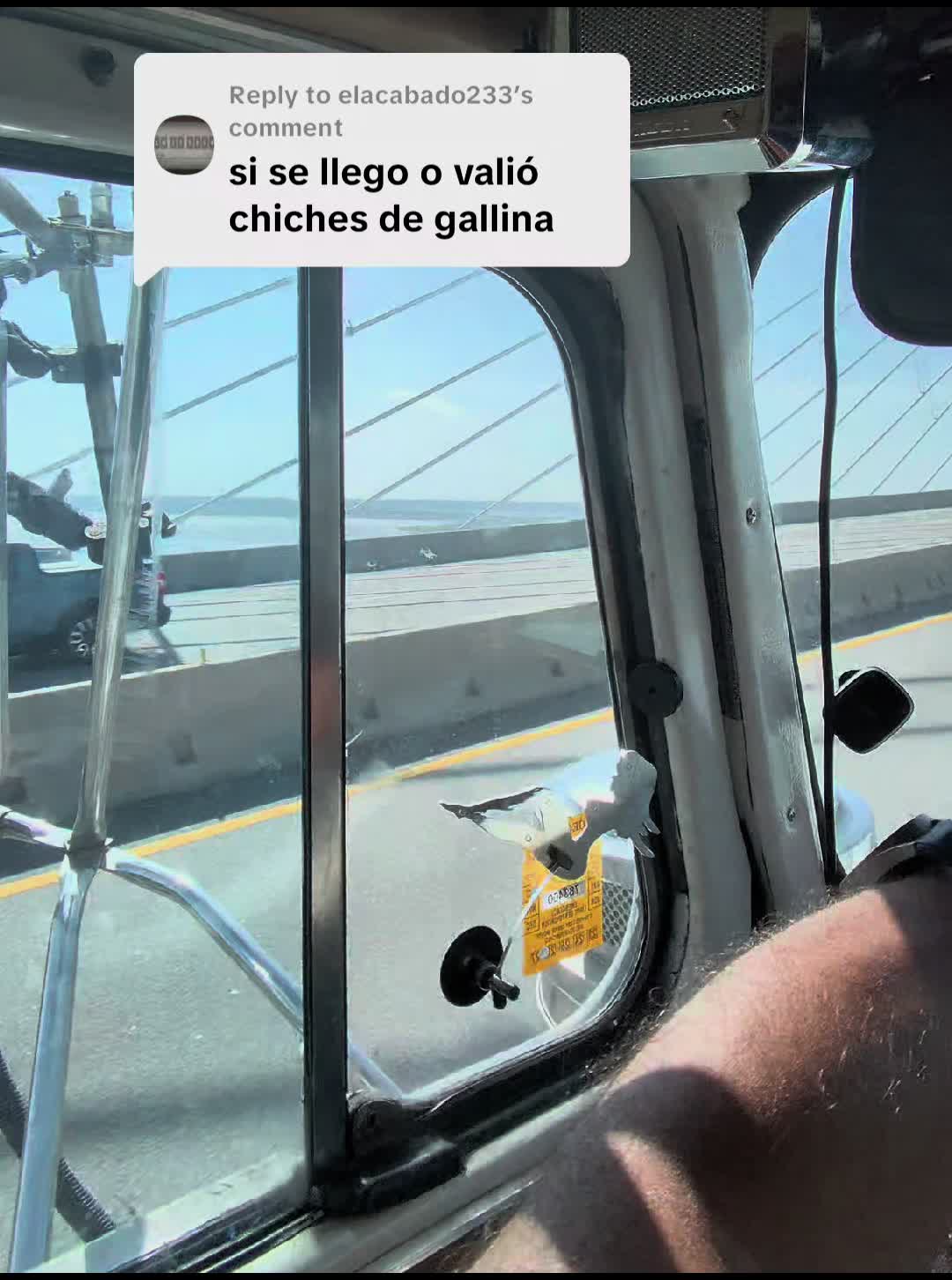 @Baymax the truck