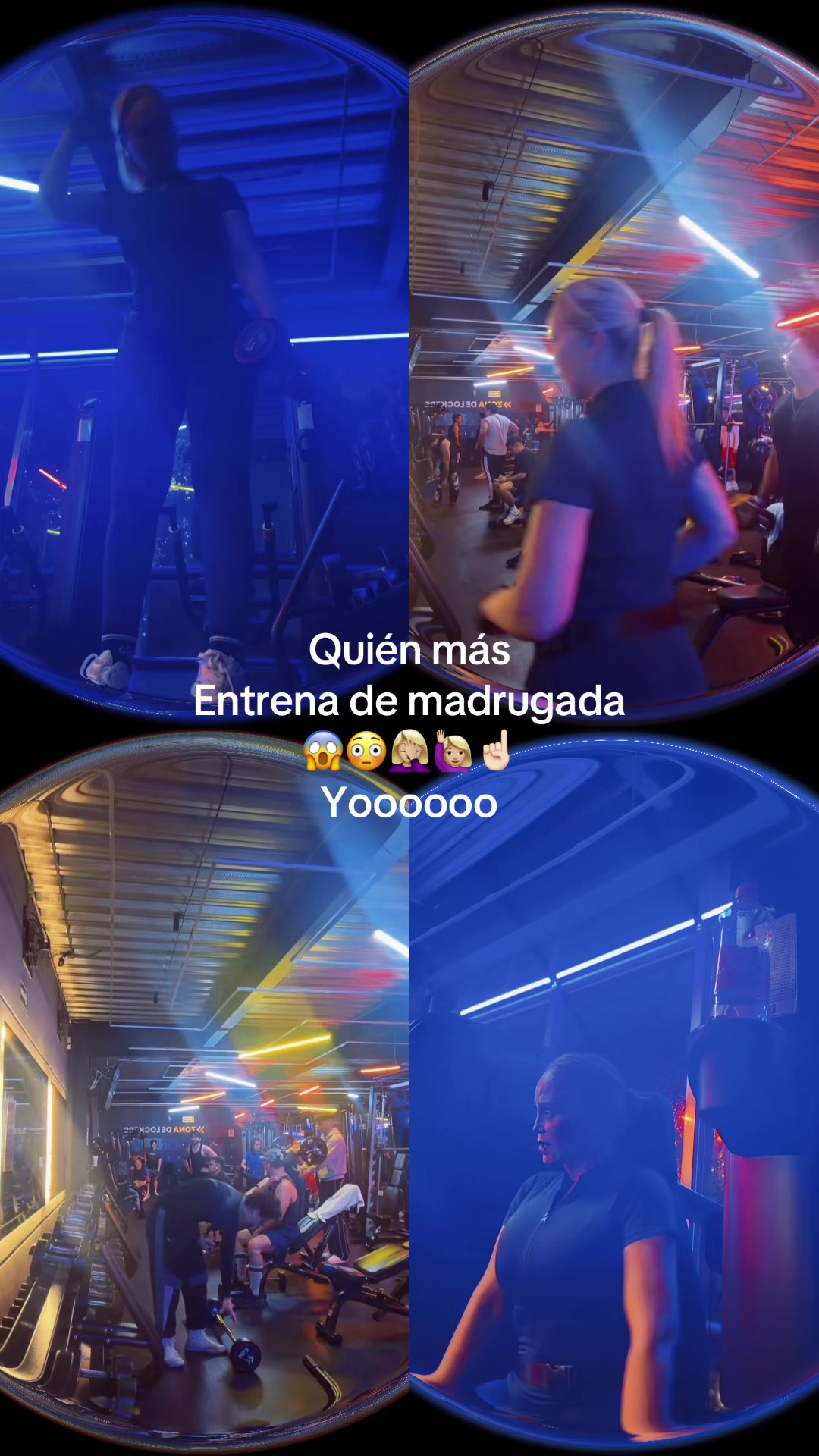 @Ivonne Soto
