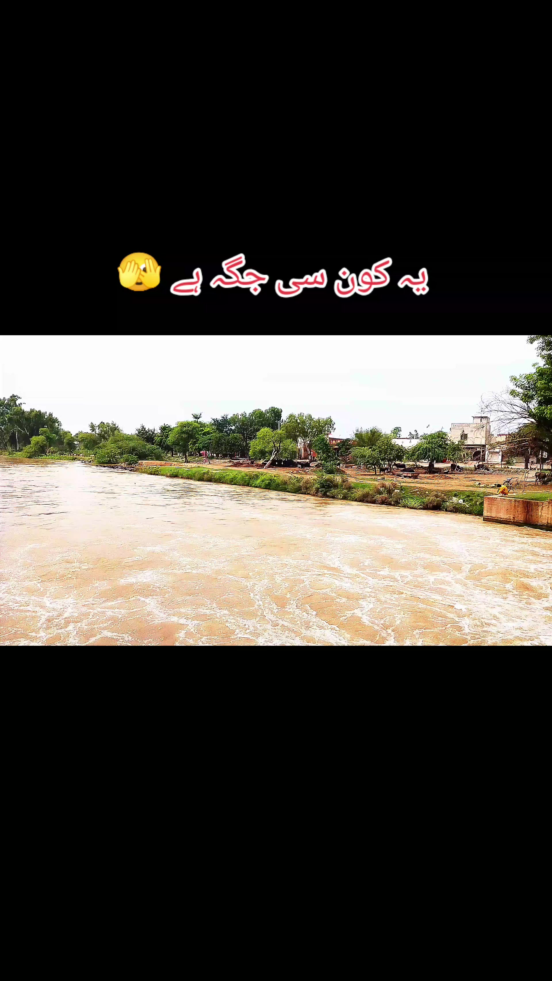 @hsasnAli804🥷🚩