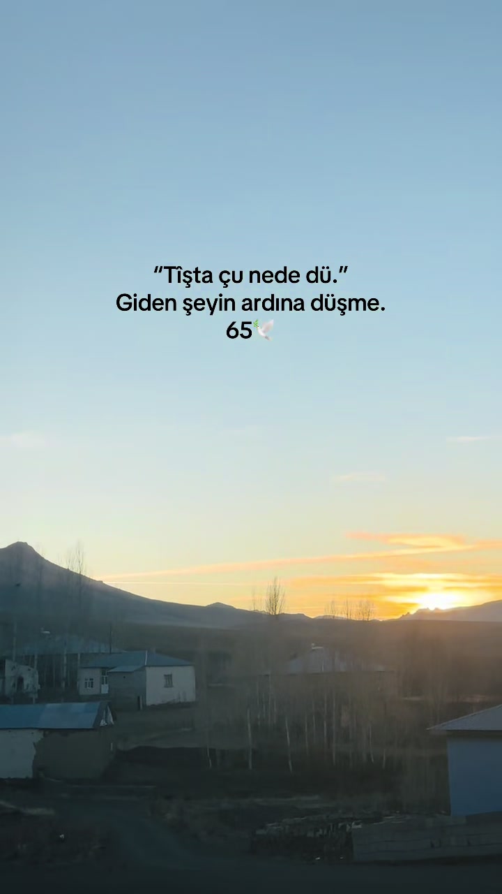 @Mustafa Şakar ☀️