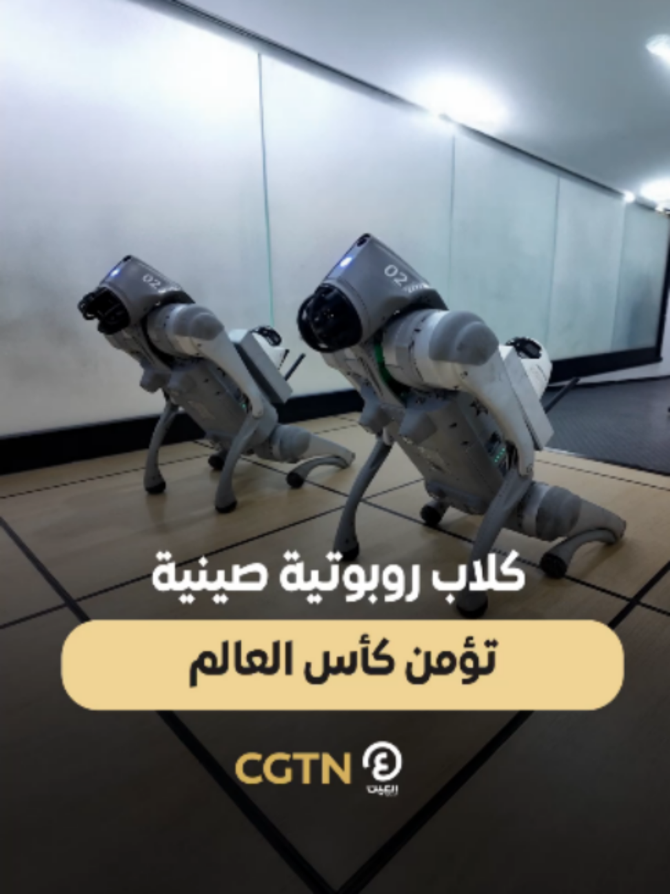 @العين الرياضية