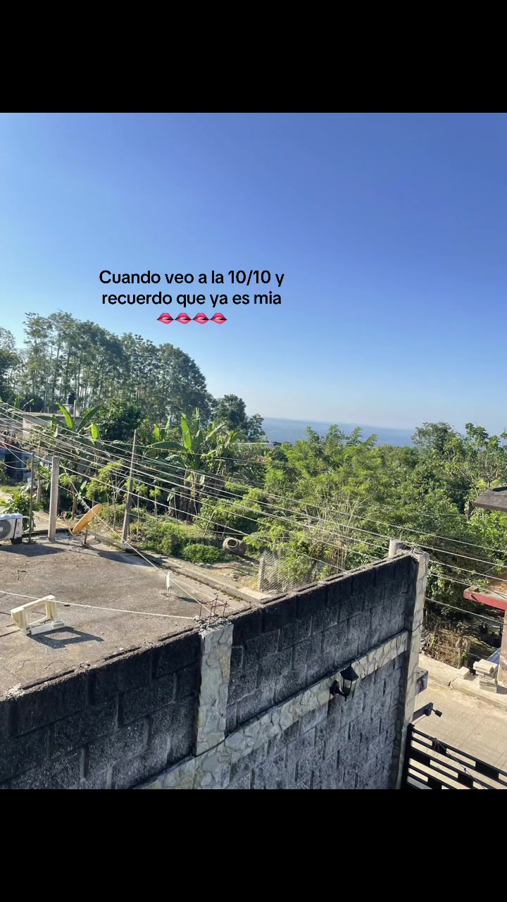 @Tus compartidos😀