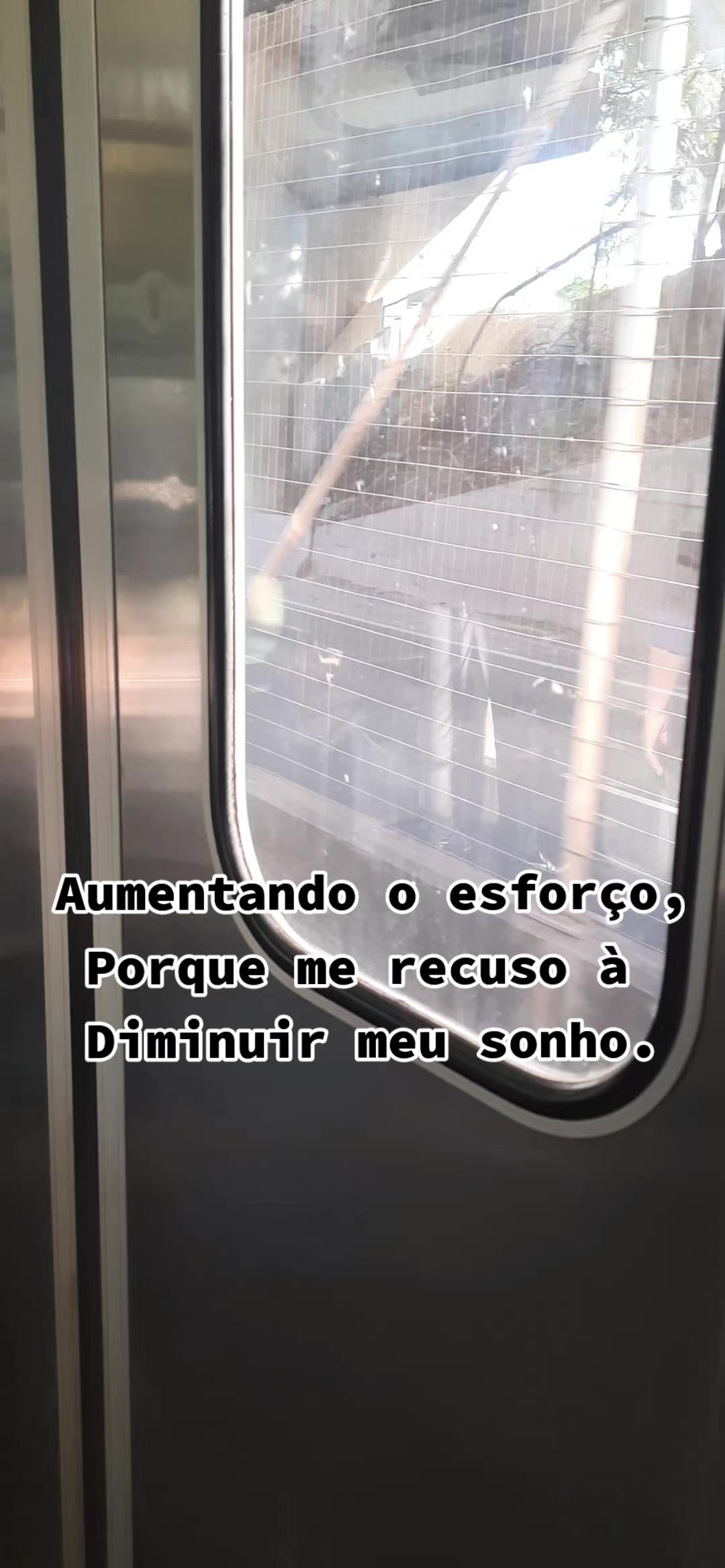 @Daniel Marques2830