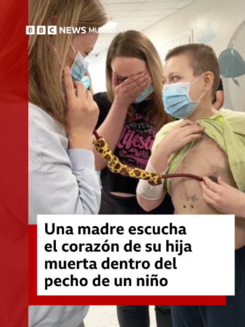 @BBC News Mundo