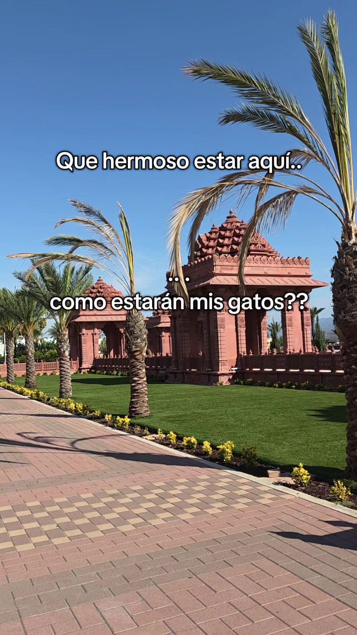 @Isela Valdes