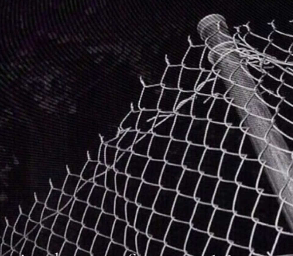 @⋆˚࿔ сырные бублики. |-/ ⋆˙⟡