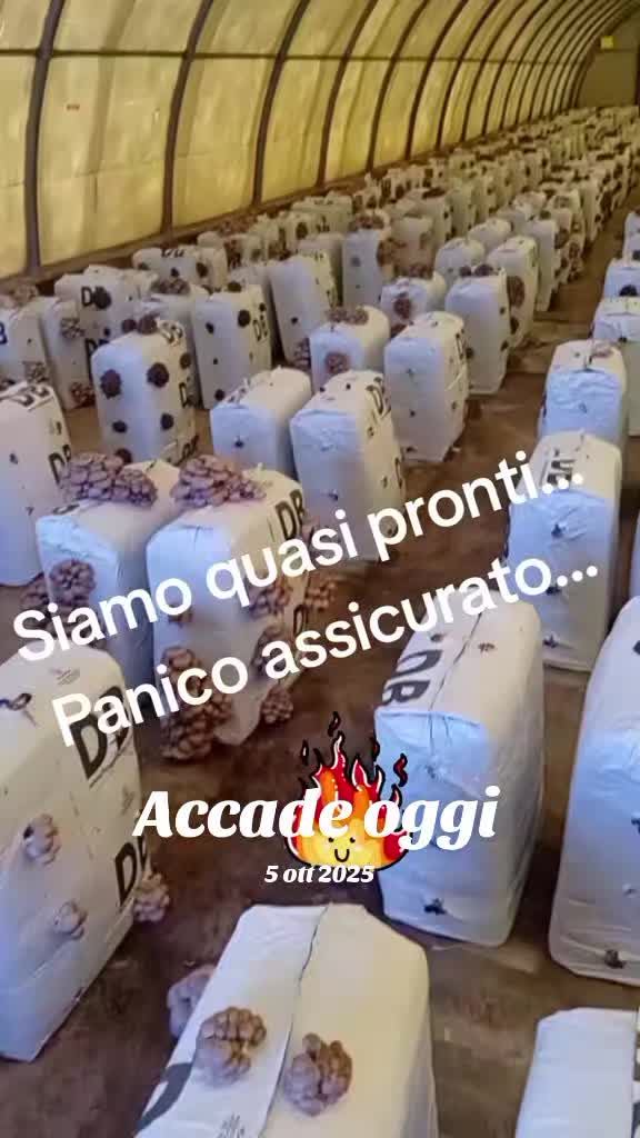@Salpietro Damiano Roberto
