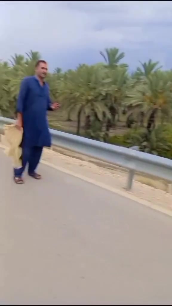 @گادیNNS