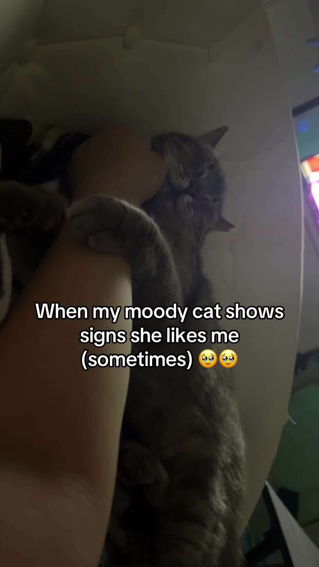 @lollokat