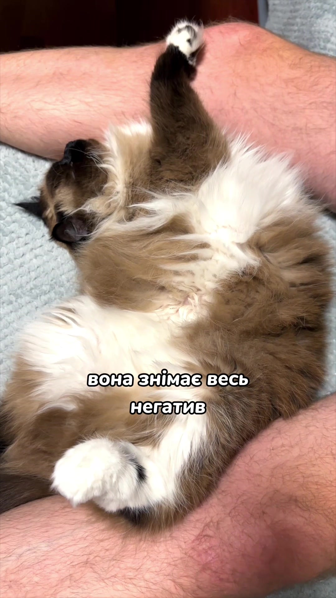 @Місс КІСЯ