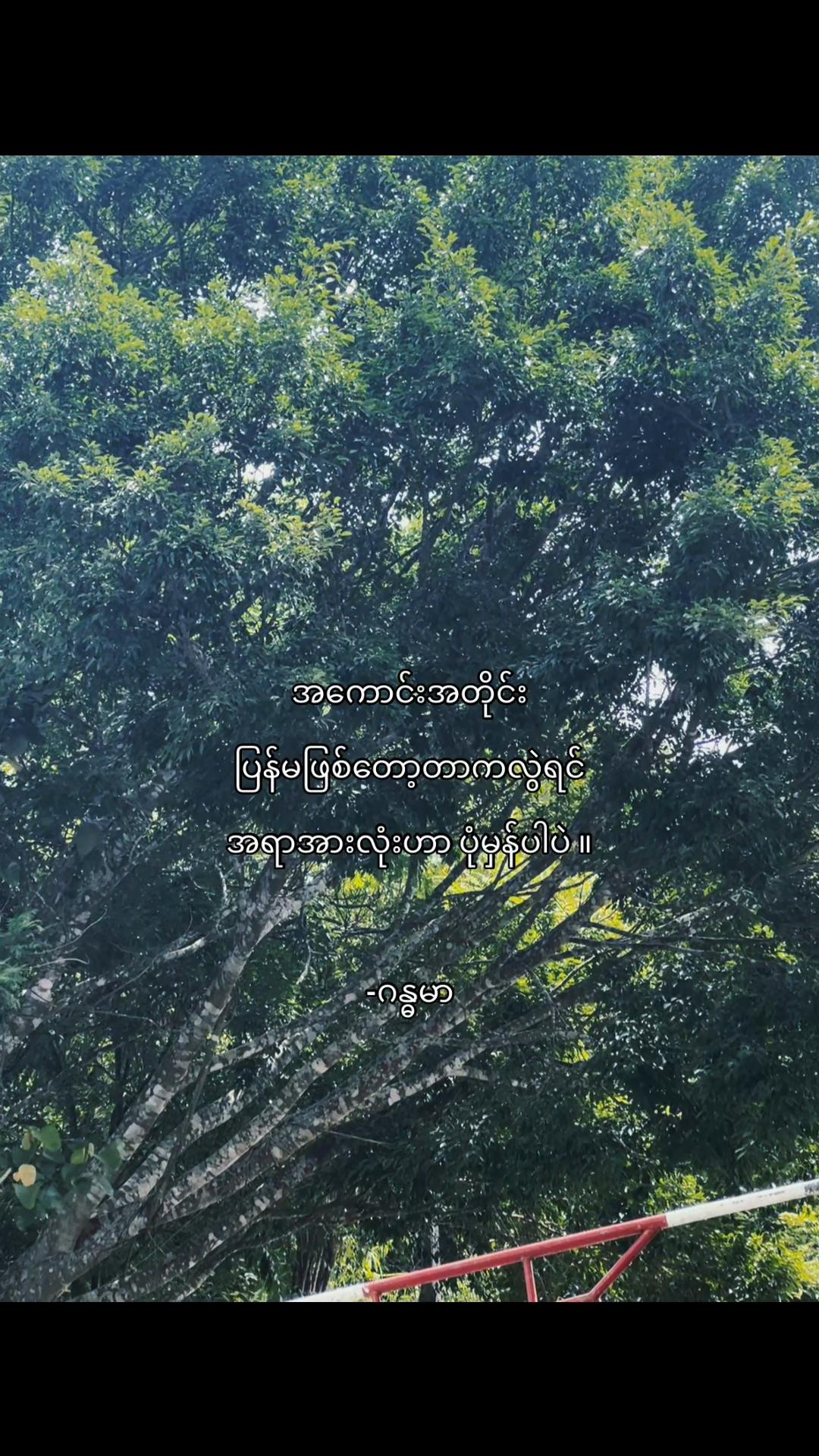 @Aidan!🪼💙