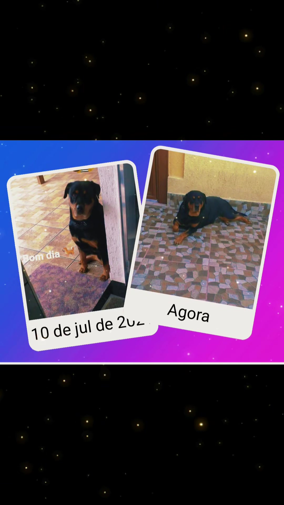 @Celia