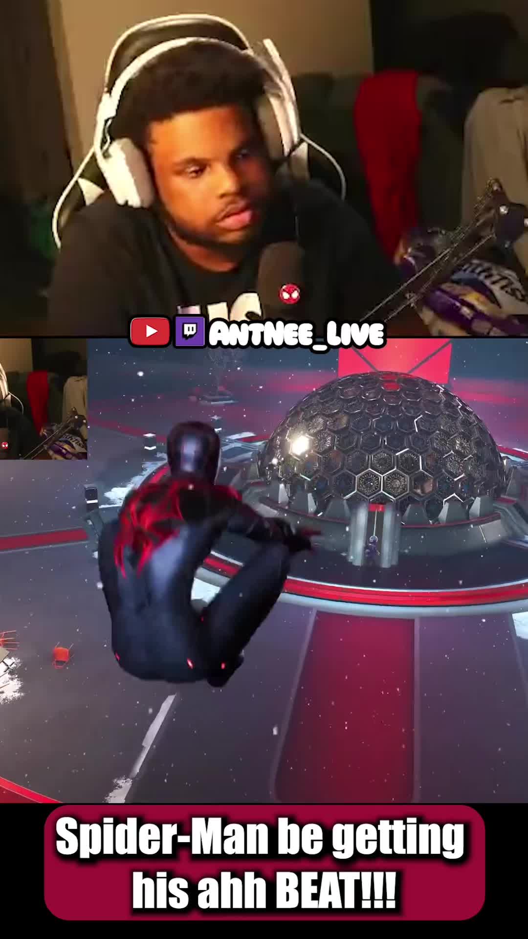 @AntNee Live